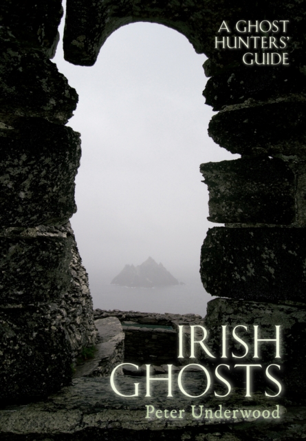 Irish Ghosts : A Ghost Hunters' Guide, EPUB eBook