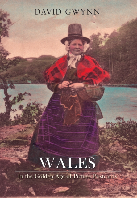 Wales In the Golden Age of Picture Postcards, EPUB eBook