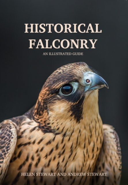 Historical Falconry : An Illustrated Guide, Paperback / softback Book