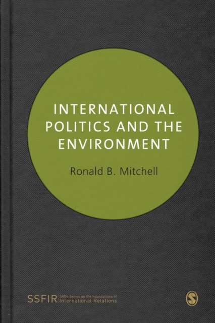 International Politics and the Environment, PDF eBook