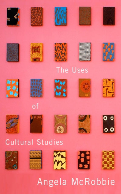 The Uses of Cultural Studies : A Textbook, EPUB eBook