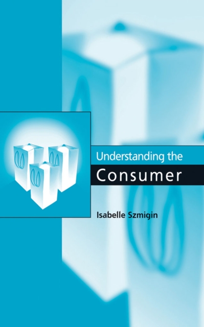 Understanding the Consumer, EPUB eBook