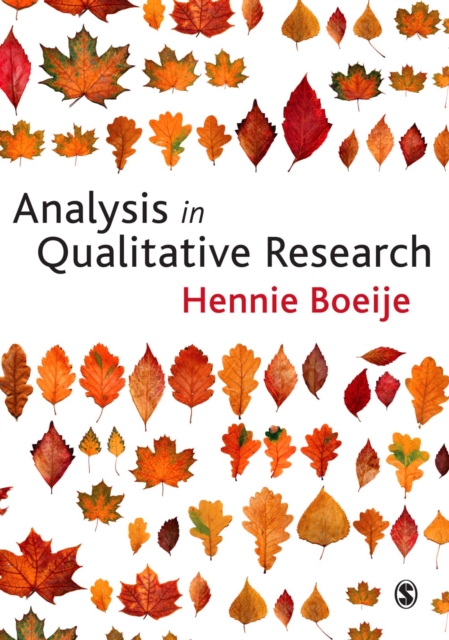 Analysis in Qualitative Research, EPUB eBook