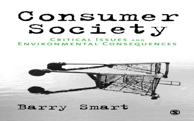 Consumer Society : Critical Issues & Environmental Consequences, EPUB eBook