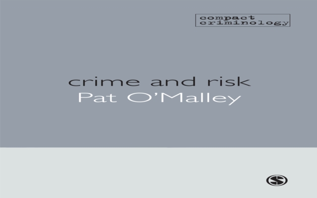 Crime and Risk, EPUB eBook