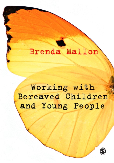 Working with Bereaved Children and Young People, PDF eBook
