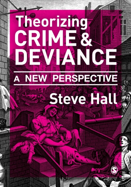 Theorizing Crime and Deviance : A New Perspective, PDF eBook