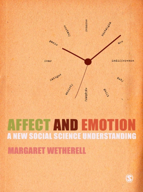 Affect and Emotion : A New Social Science Understanding, EPUB eBook