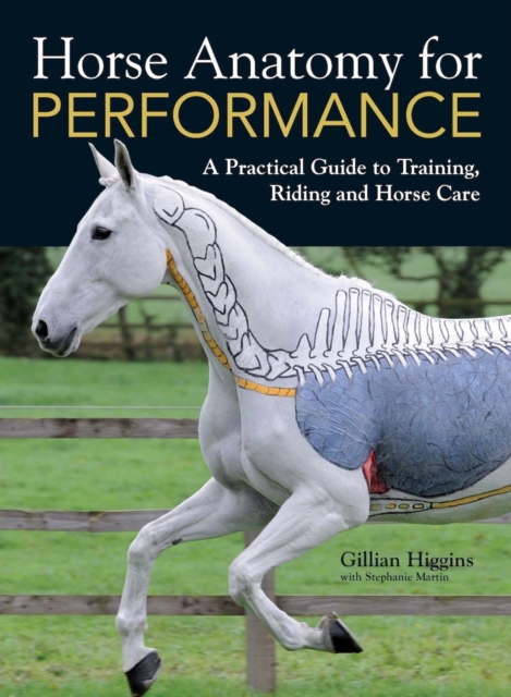 Horse Anatomy for Performance : A Practical Guide to Training, Riding and Horse Care, Hardback Book