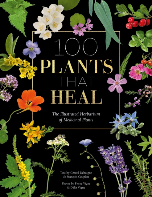 100 Plants That Heal : The Illustrated Herbarium of Medicinal Plants, EPUB eBook
