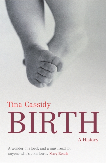 Birth : A History, EPUB eBook