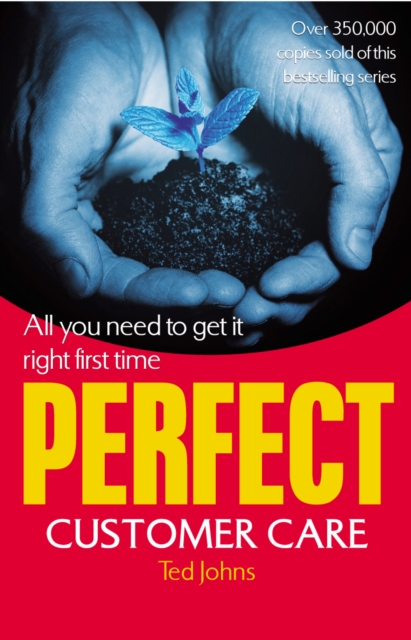 Perfect Customer Care, EPUB eBook