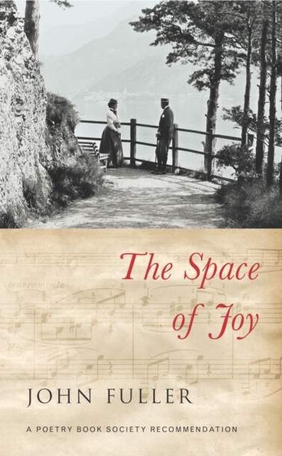 The Space of Joy, EPUB eBook
