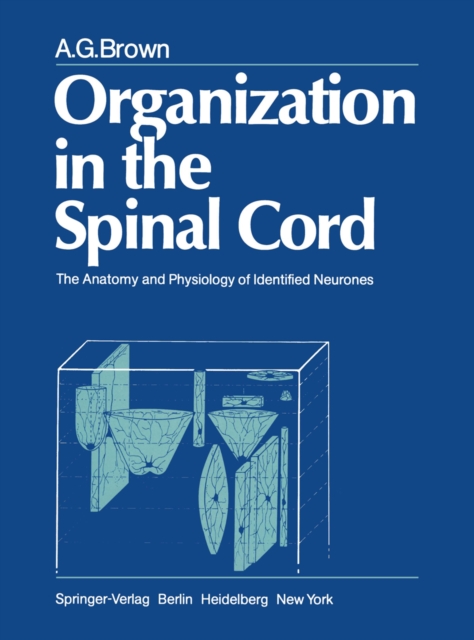 Organization in the Spinal Cord : The Anatomy and Physiology of Identified Neurones, PDF eBook