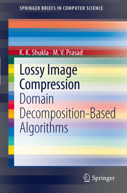 Lossy Image Compression : Domain Decomposition-Based Algorithms, PDF eBook