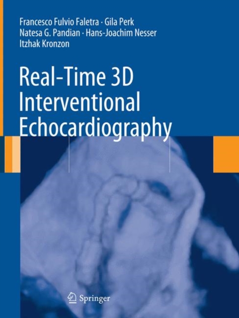 Real-Time 3D Interventional Echocardiography, Paperback / softback Book