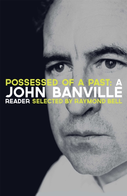 Possessed of a Past: A John Banville Reader, Hardback Book