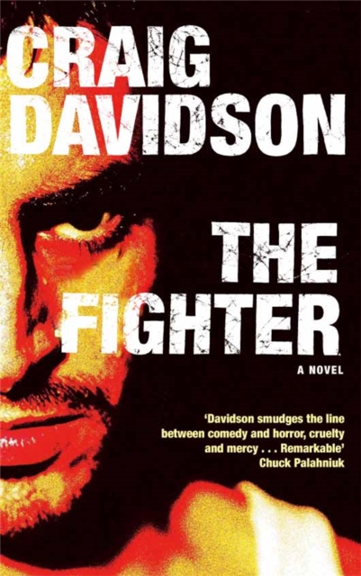 The Fighter, Paperback / softback Book