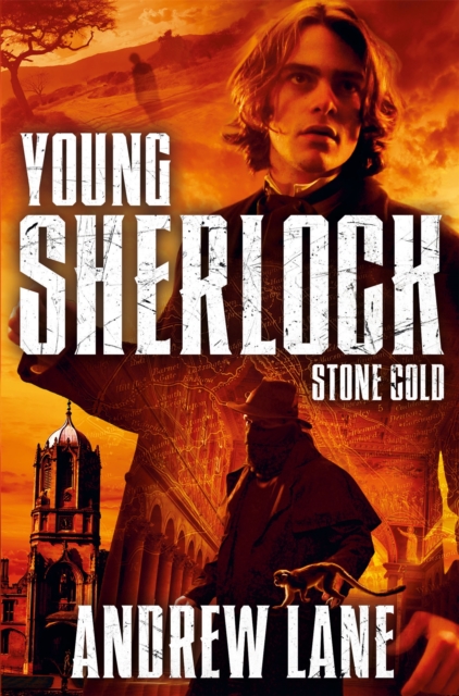 Stone Cold, Paperback / softback Book