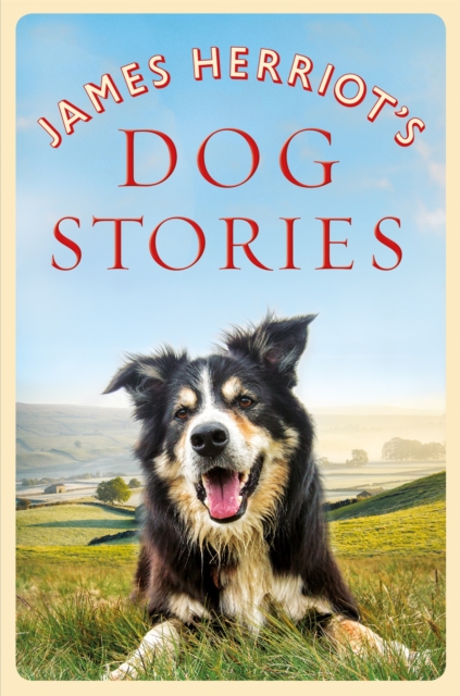 James Herriot's Dog Stories, EPUB eBook