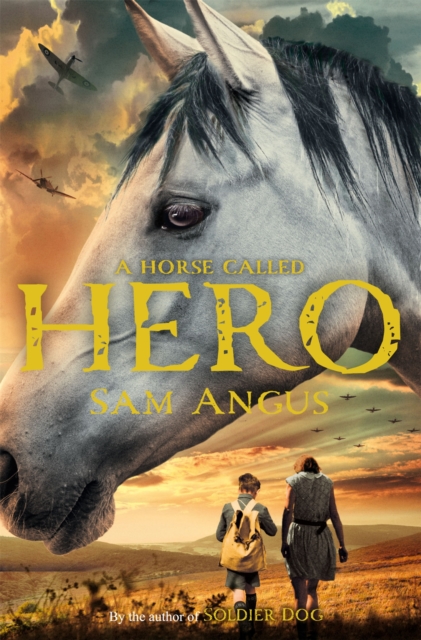 A Horse Called Hero, Paperback / softback Book