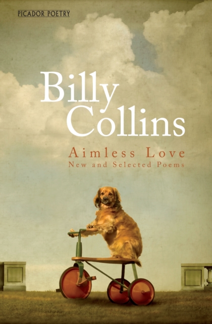 Aimless Love : New and Selected Poems, EPUB eBook