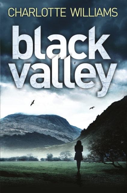Black Valley, EPUB eBook