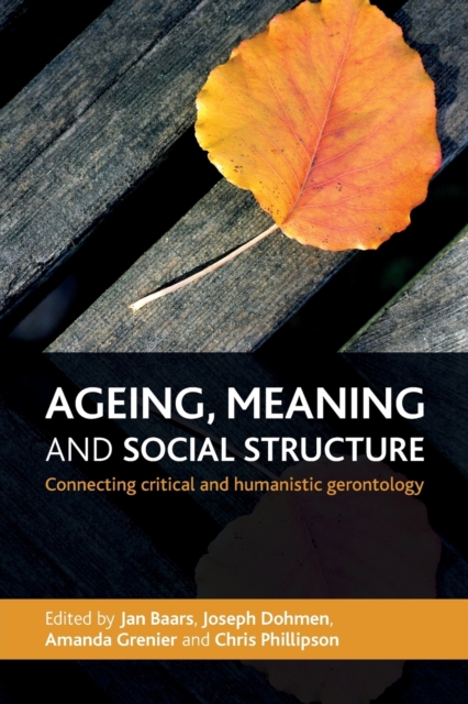 Ageing, Meaning and Social Structure : Connecting Critical and Humanistic Gerontology, Paperback / softback Book