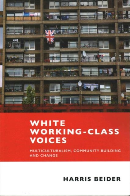White Working-Class Voices : Multiculturalism, Community-Building and Change, Paperback / softback Book