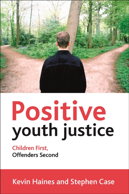 Positive Youth Justice : Children First, Offenders Second, PDF eBook