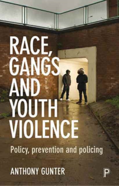 Race, Gangs and Youth Violence : Policy, Prevention and Policing, Paperback / softback Book