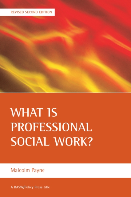 What is professional social work?, PDF eBook