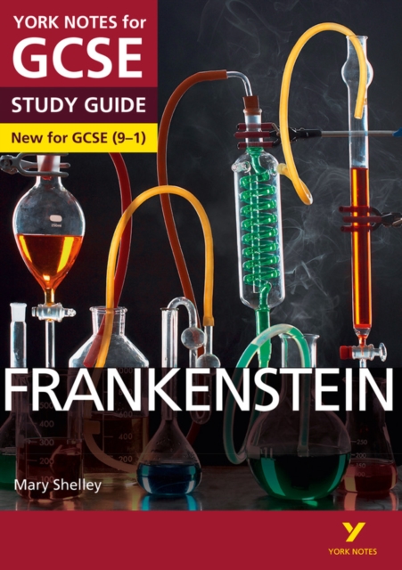 Frankenstein: York Notes for GCSE everything you need to catch up, study and prepare for and 2023 and 2024 exams and assessments, Paperback / softback Book