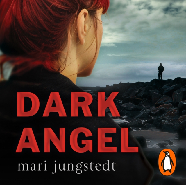 Dark Angel : Anders Knutas series 6, eAudiobook MP3 eaudioBook
