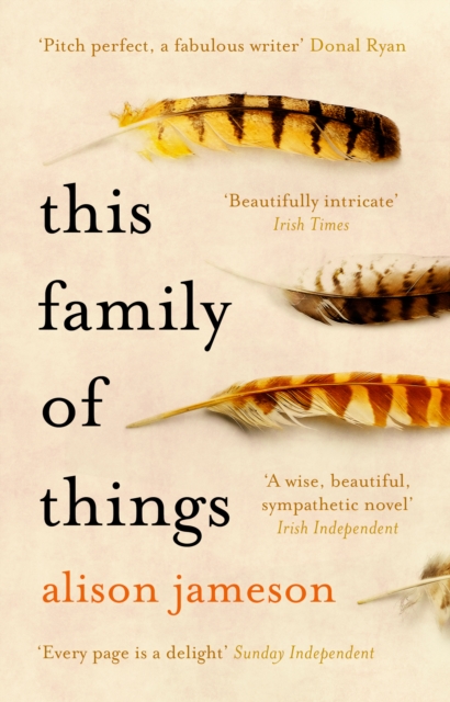 This Family of Things, EPUB eBook