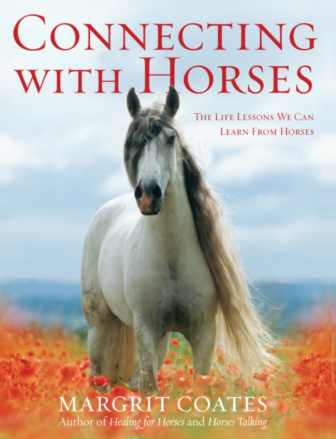 Connecting with Horses : The Life Lessons We Can Learn from Horses, EPUB eBook