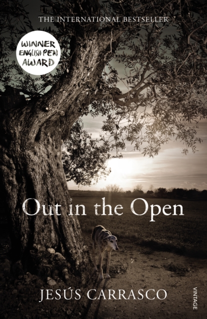 Out in the Open, EPUB eBook