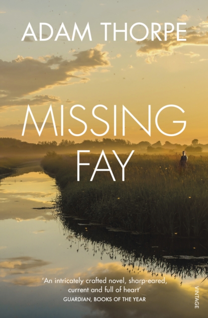 Missing Fay, EPUB eBook