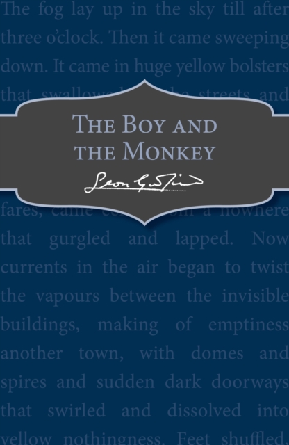 The Boy and the Monkey, EPUB eBook