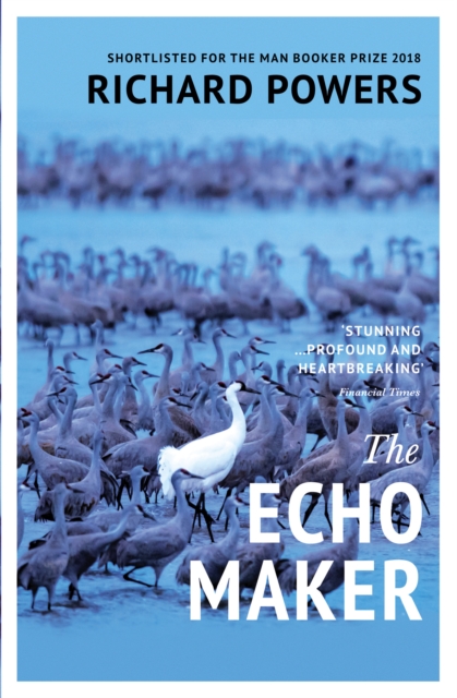 The Echo Maker, EPUB eBook