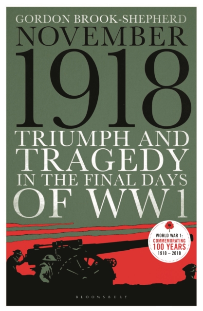 November 1918 : Triumph and Tragedy in the Final Days of WW1, Paperback / softback Book