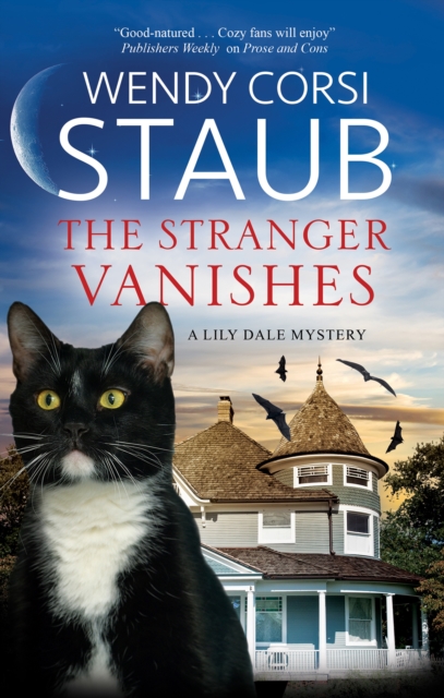 The Stranger Vanishes, Paperback / softback Book