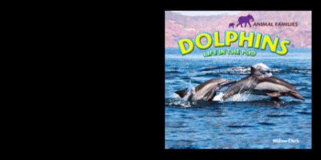 Dolphins : Life in the Pod, PDF eBook