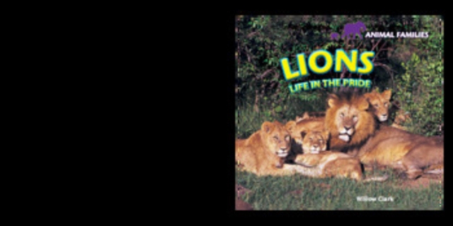 Lions : Life in the Pride, PDF eBook