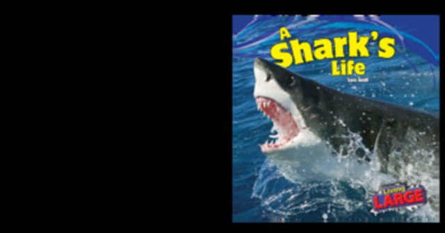 A Shark's Life, PDF eBook