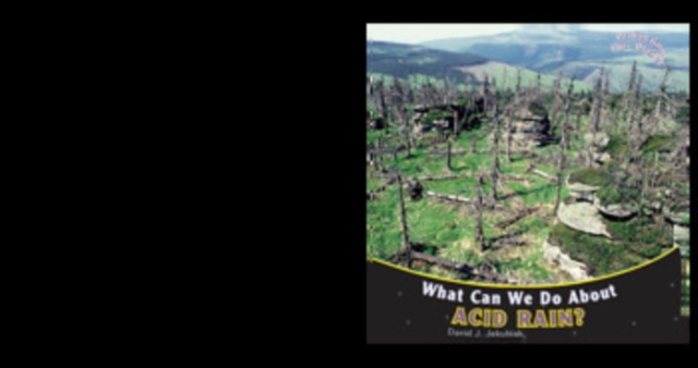What Can We Do About Acid Rain?, PDF eBook