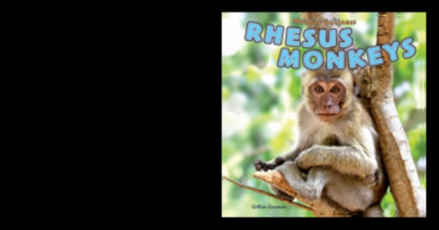 Rhesus Monkeys, PDF eBook