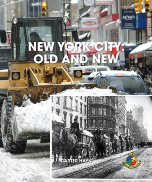 New York City: Old and New, PDF eBook