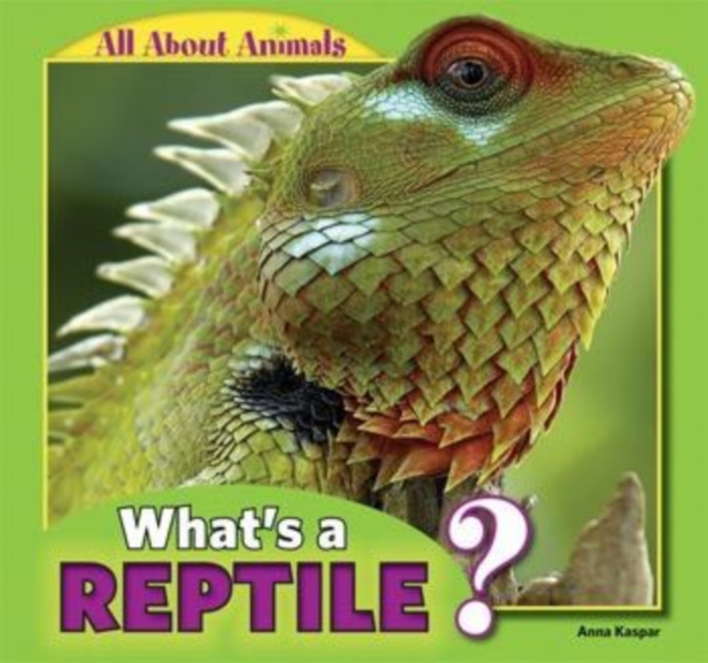 What's a Reptile?, PDF eBook