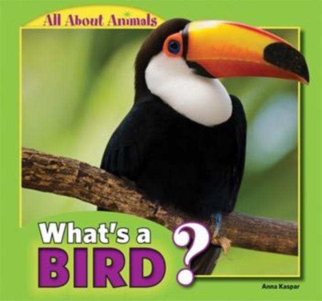 What's a Bird?, PDF eBook
